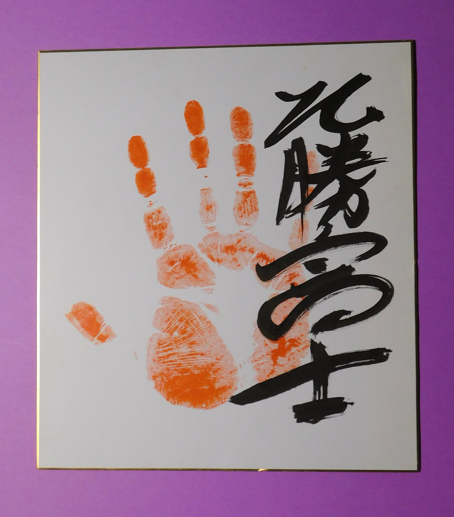 Retired - Hokutofuji Tegata