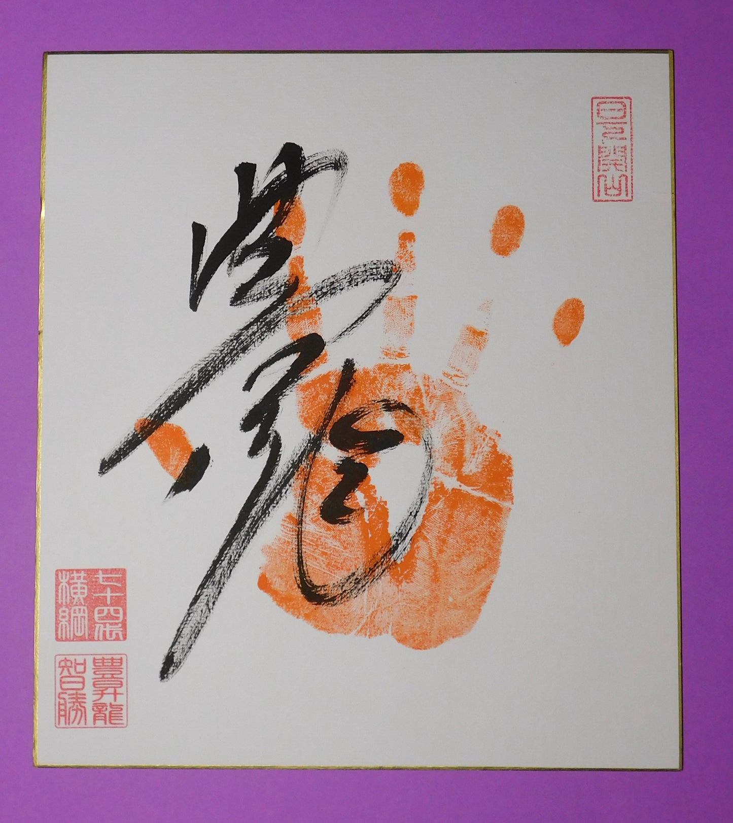 Yokozuna Hoshoryu Tegata - red