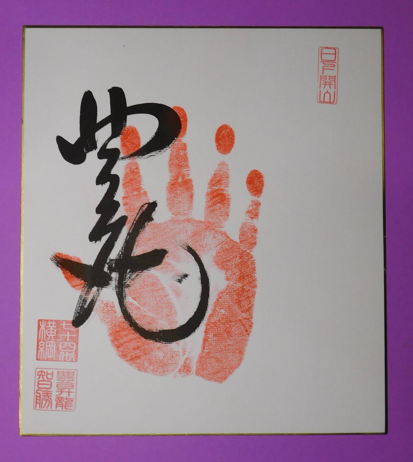 Yokozuna Hoshoryu Tegata - red