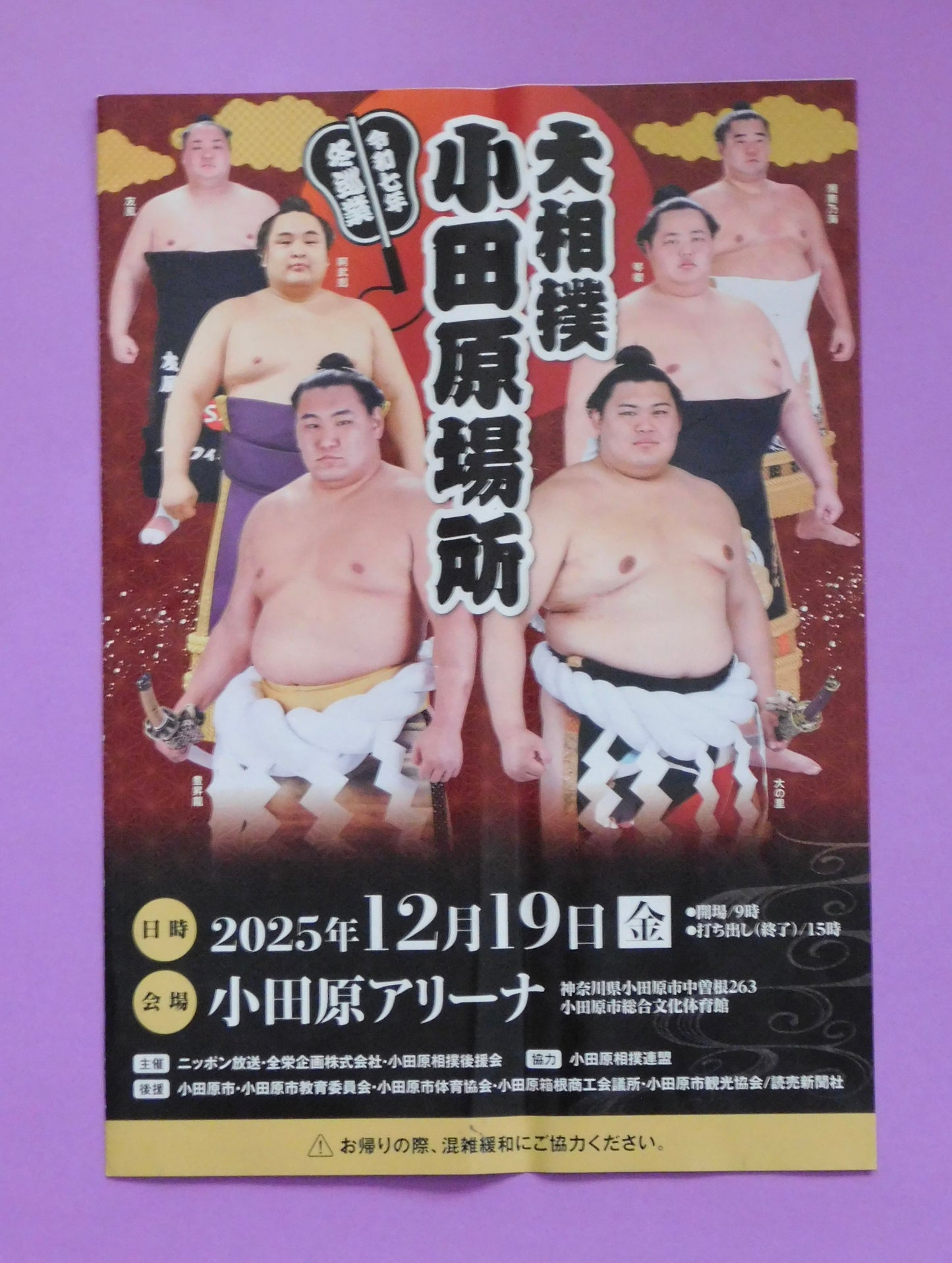 Regional Tour Tamari Seat Cushions - December 2025