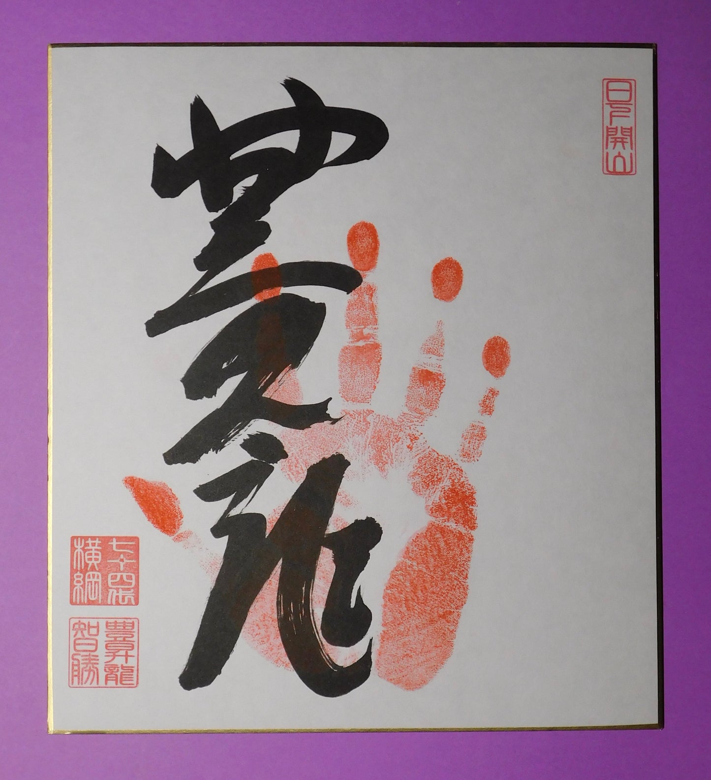 Yokozuna Hoshoryu Tegata - red