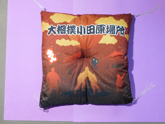 Regional Tour Tamari Seat Cushions - December 2025