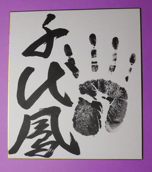Retired - Chiyootori tegata