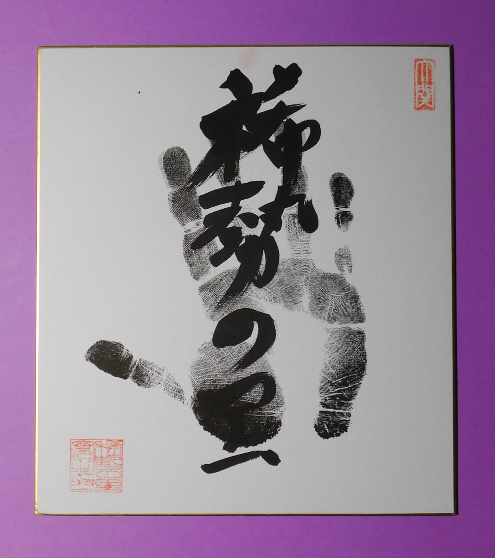 Retired - 72nd Yokozuna Kisenosato Tegata