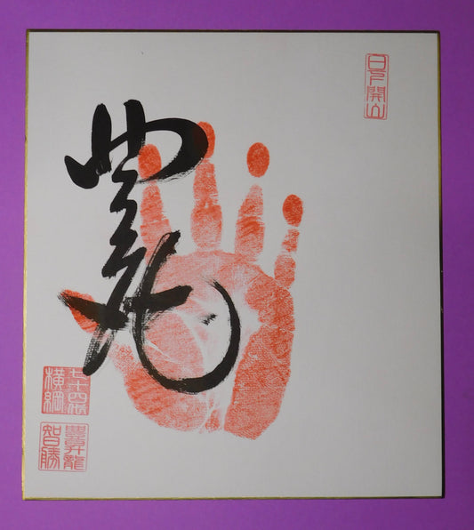 Yokozuna Hoshoryu Tegata - red