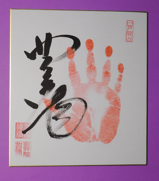 Yokozuna Hoshoryu Tegata - red