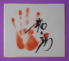 Retired - 49th Yokozuna Tochinoumi