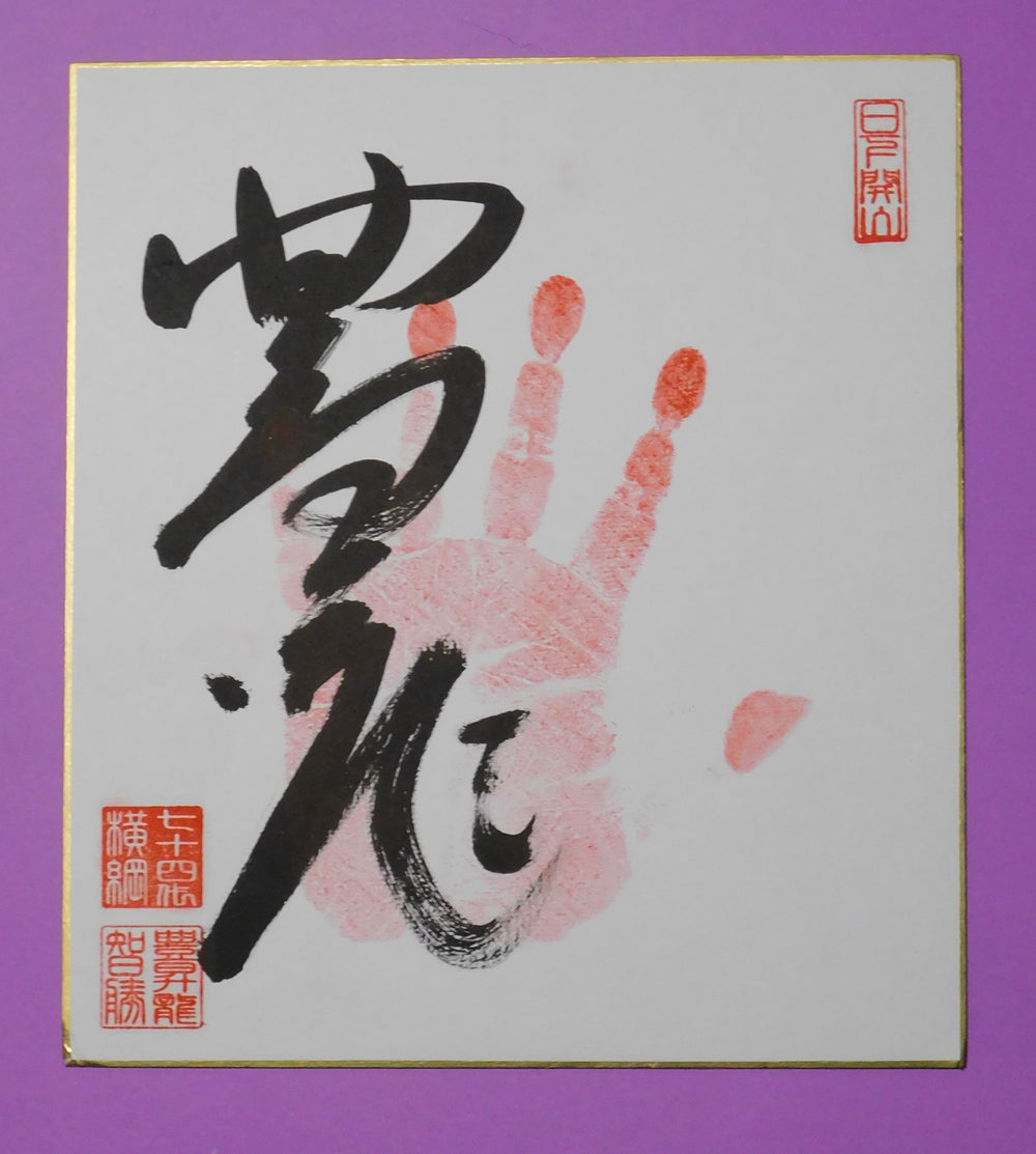 Yokozuna Hoshoryu Tegata - red