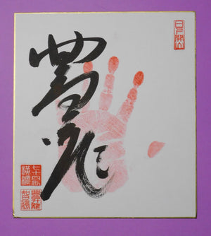 Yokozuna Hoshoryu Tegata - red