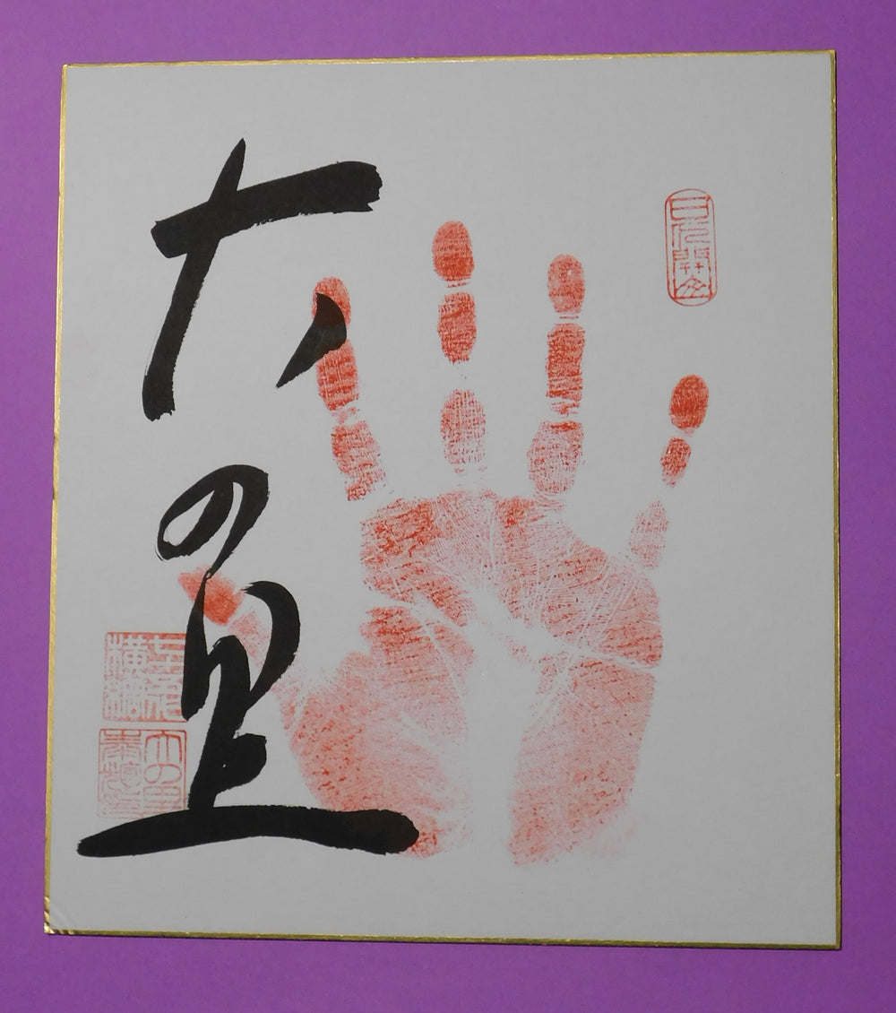 Yokozuna - Onosato Tegata (red)