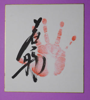 M11 - Wakanosho tegata