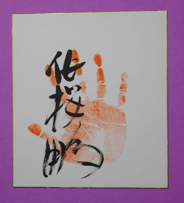 M3 - Hakunofuji Tegata