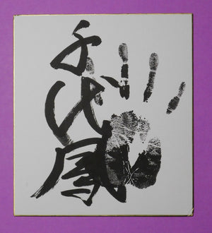 Retired - Chiyootori tegata