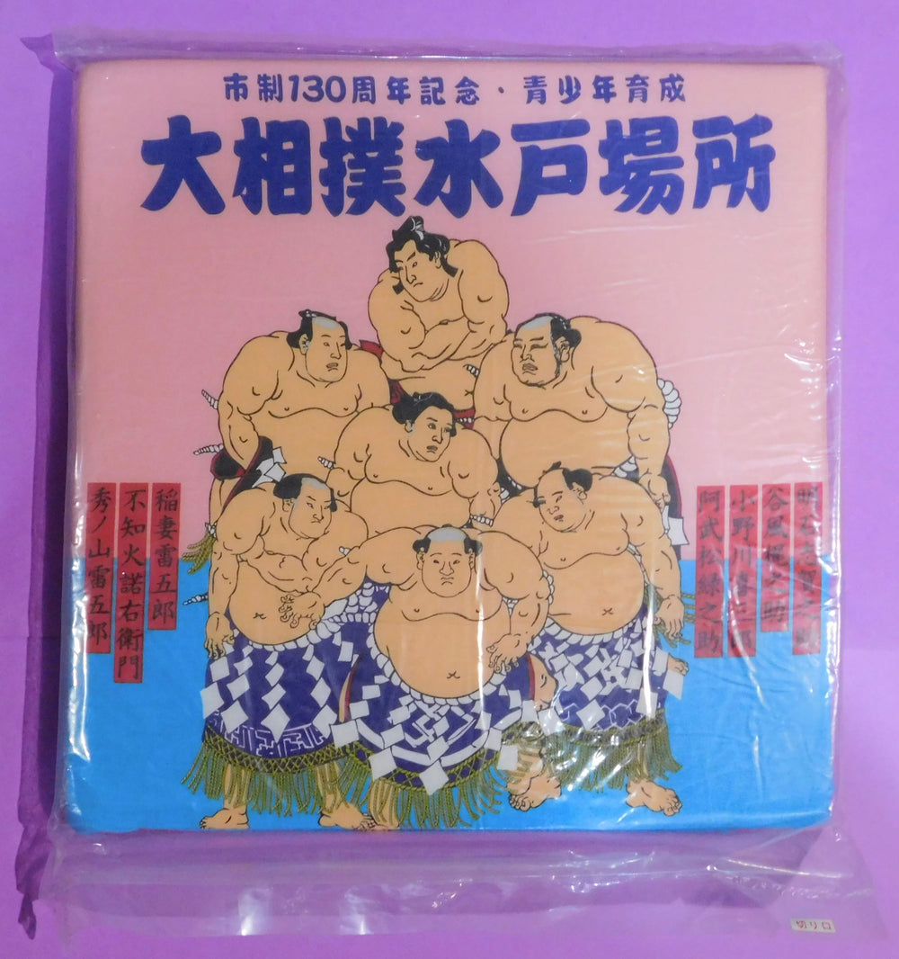 Regional Tour Standard Seat Cushions - Spring 2019 Tour (Reiwa 1)