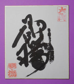 Ozeki Kotozakura tegata