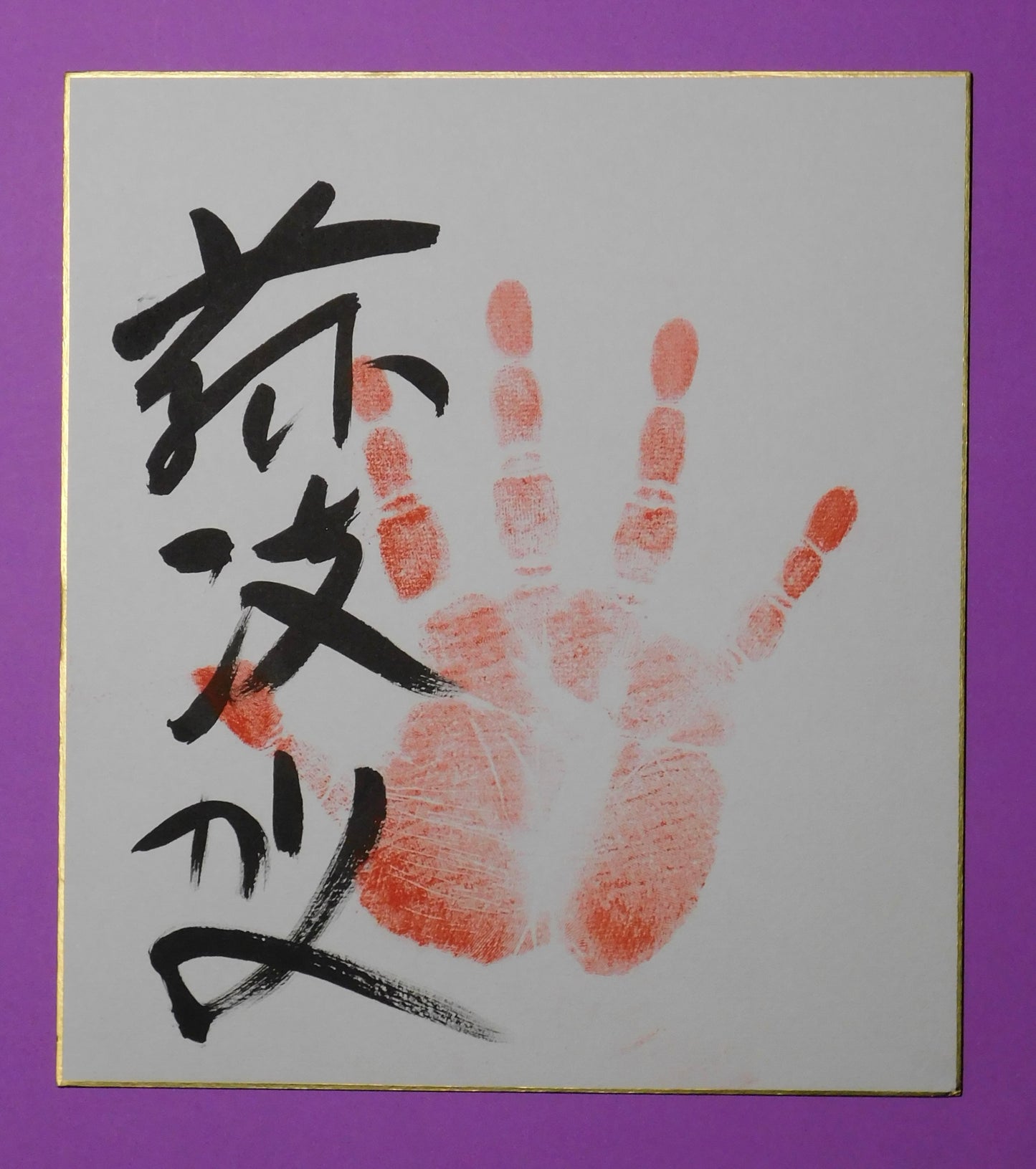 M9 - Fujiryoga tegata