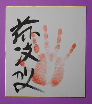 M9 - Fujiryoga tegata