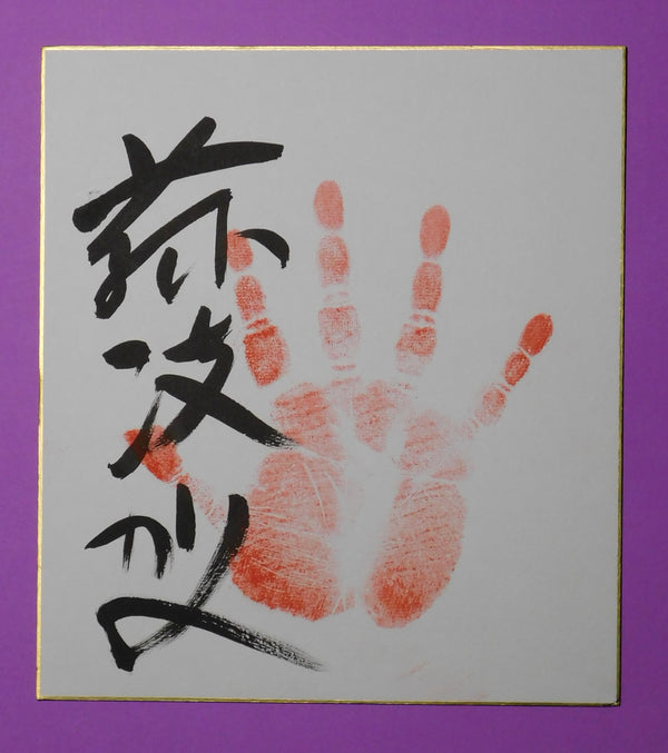 M9 - Fujiryoga tegata