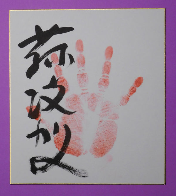 M9 - Fujiryoga tegata