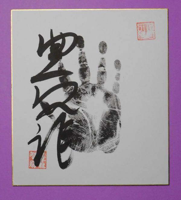 Yokozuna Hoshoryu Tegata - black - made as Ozeki