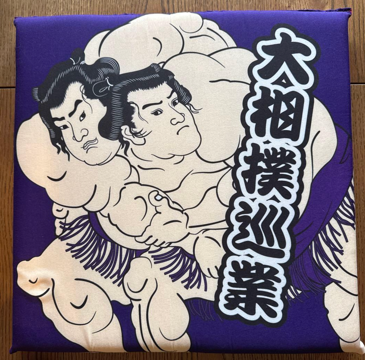 Regional Tour Tamari Seat Cushions